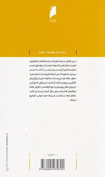 خلق سازمان کارآفرین